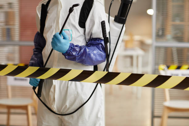 Professional Sewage Cleanup technician working in Gasquet, CA